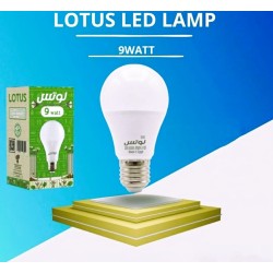 LAMPE LED A60 E27 6500K LOTUS
